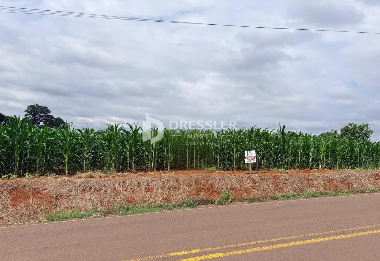 Área rural, foto 1