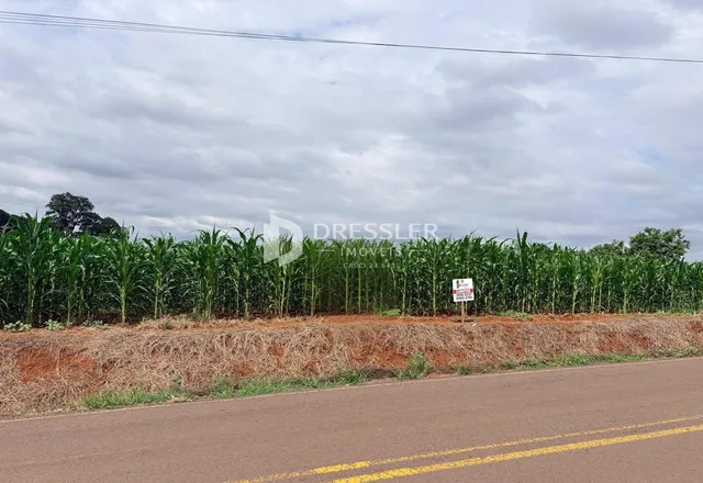 Área rural