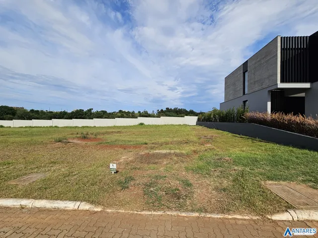 Terreno, foto 2