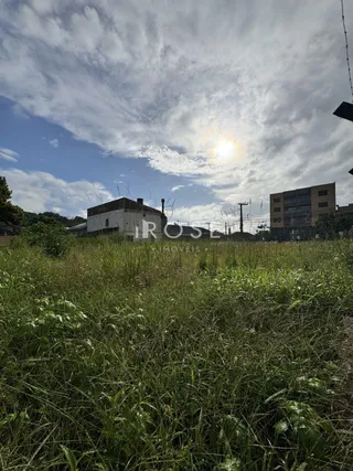 Terreno, foto 1