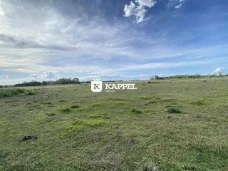 Vista panorâmica de um campo aberto com vegetação sob um céu nublado.
