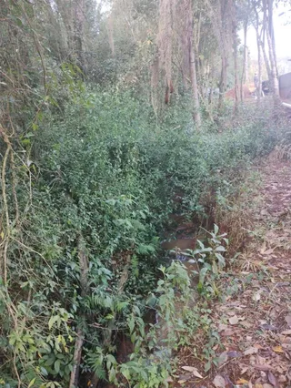 Área rural com 2 dormitórios, foto 17