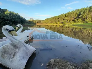 Área rural com 4 dormitórios, foto 5