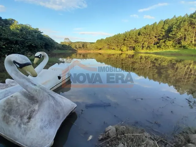 Área rural com 4 dormitórios, foto 5
