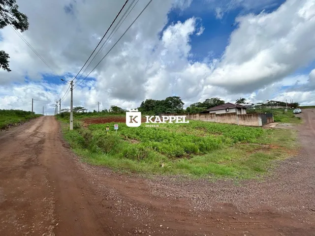 Vista externa de uma estrada de terra que leva a uma residência em uma área rural.