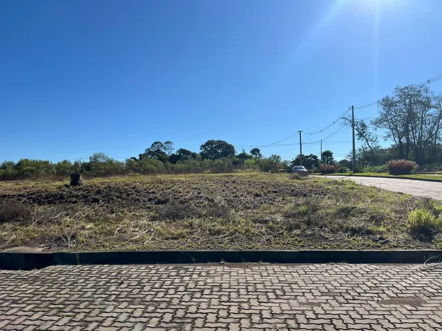 Vista de um terreno aberto com vegetação seca sob um céu azul claro.