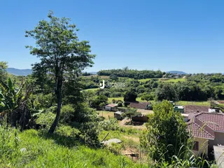 Paisagem de campo com vegetação verde e árvores em Lajeado.