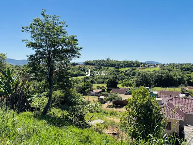 Paisagem de campo com vegetação verde e árvores em Lajeado.