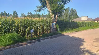 Terreno, foto 1