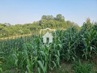 Área rural, foto 9