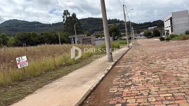 Terreno, foto 3