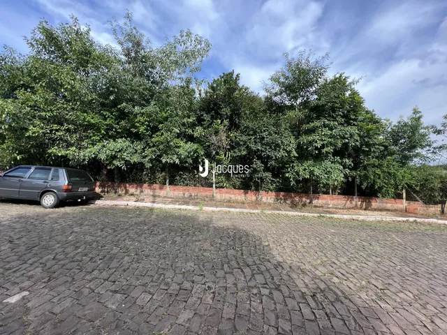 Vista externa da propriedade com vegetação densa e muro de tijolos.