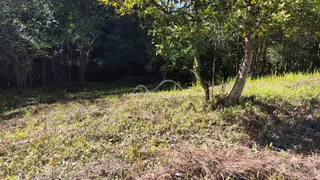 Área rural, foto 6