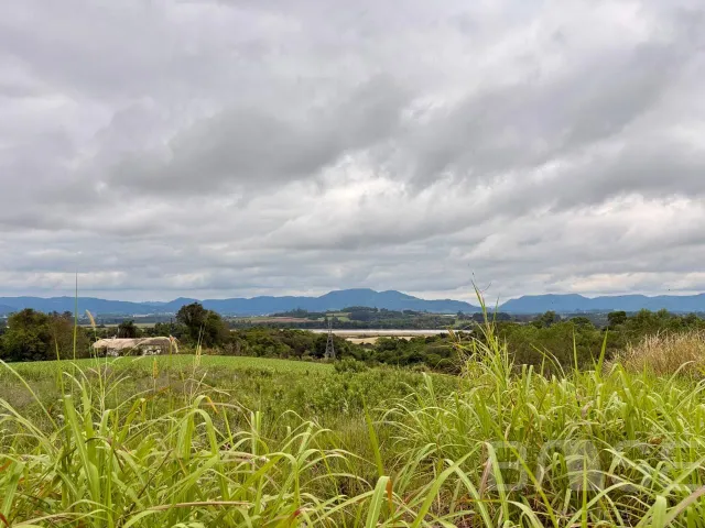 Terreno, foto 4