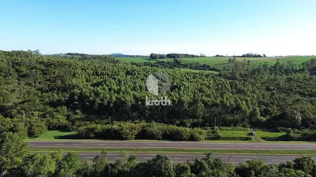 Área rural, foto 4