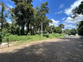 Vista da propriedade com vegetação densa e pavimento de paralelepípedos.