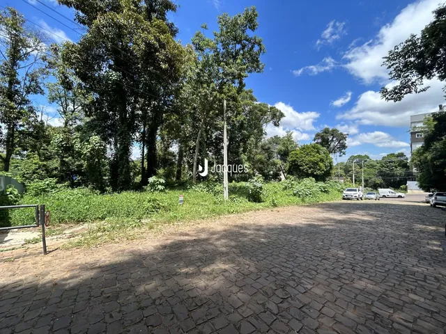Vista da propriedade com vegetação densa e pavimento de paralelepípedos.