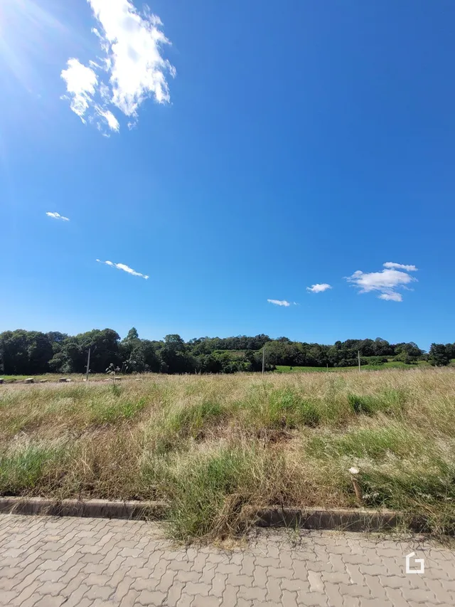 Terreno, foto 3
