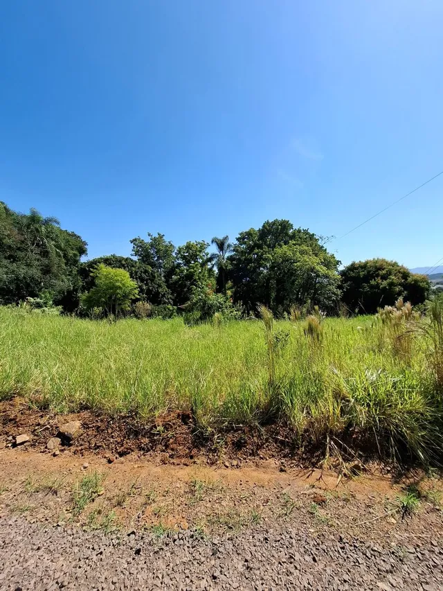 Terreno