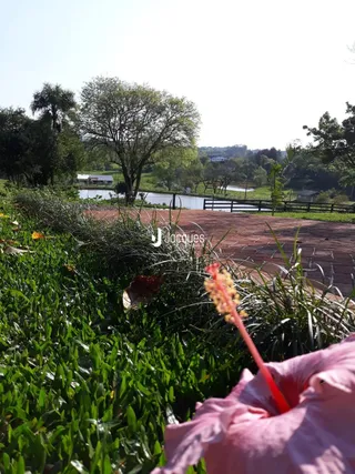 Área rural com 2 dormitórios, foto 23