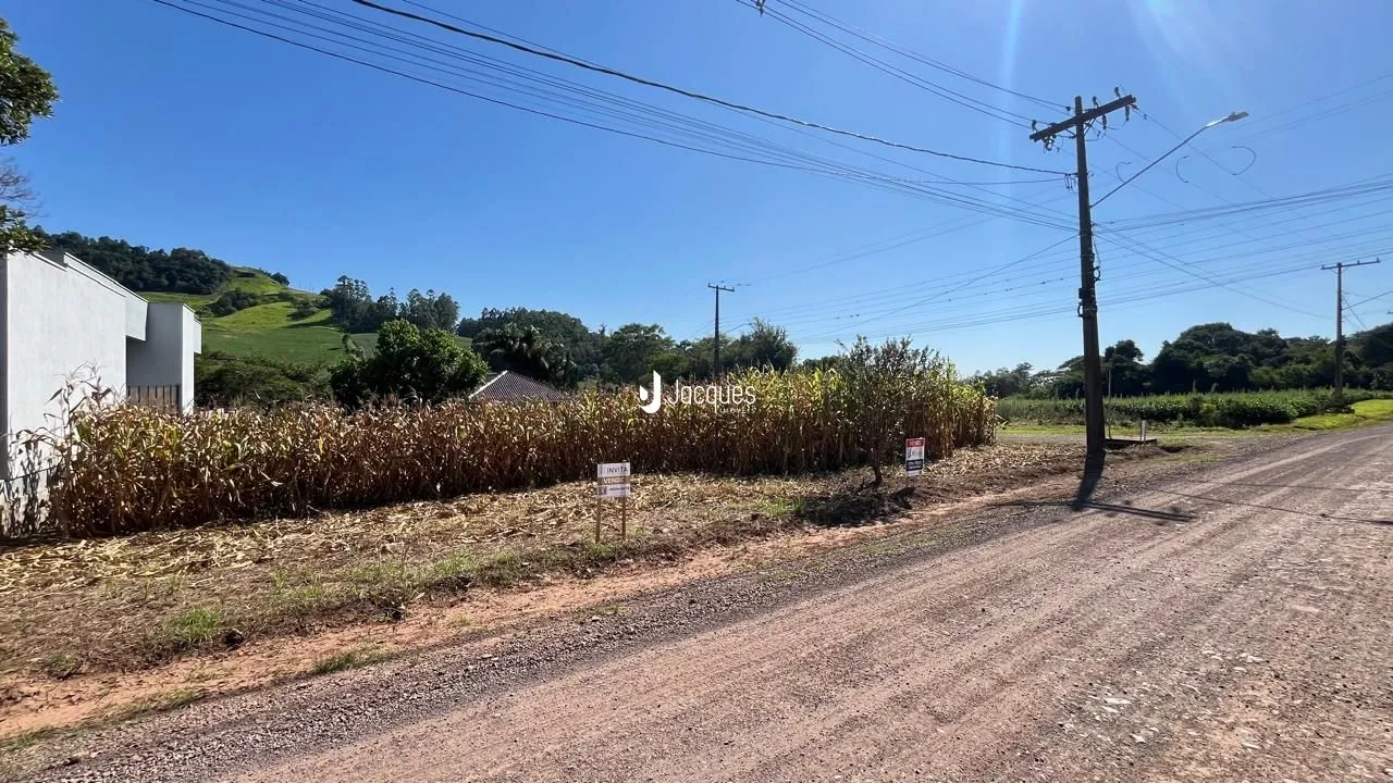 Vista de uma estrada rural com vegetação densa e colinas ao fundo.