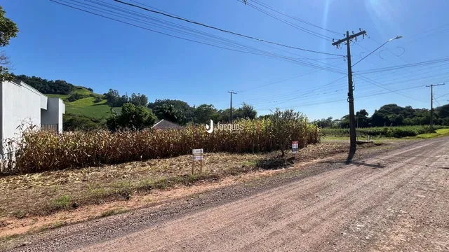 Vista de uma estrada rural com vegetação densa e colinas ao fundo.