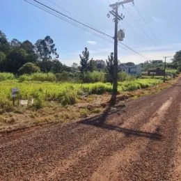 Vista de uma estrada de terra com vegetação ao lado em uma área externa.