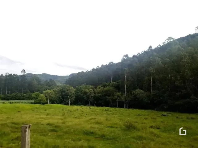 Terreno, foto 3