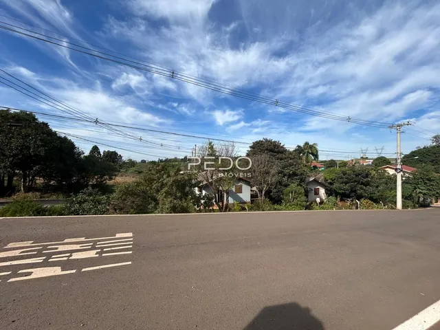 Vista da rua com vegetação e casas ao fundo em Lajeado, Brasil.