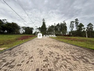 Foto da entrada de uma propriedade com um caminho de pavers e vegetação ao fundo.