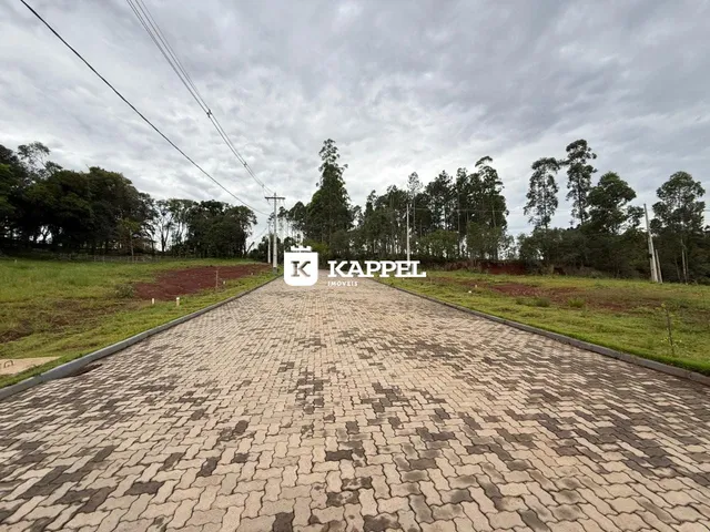Foto da entrada de uma propriedade com um caminho de pavers e vegetação ao fundo.