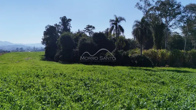 Vista de um campo verde com vegetação densa ao fundo.