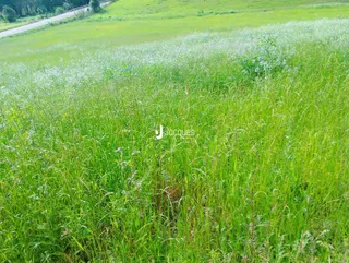 Área rural, foto 5