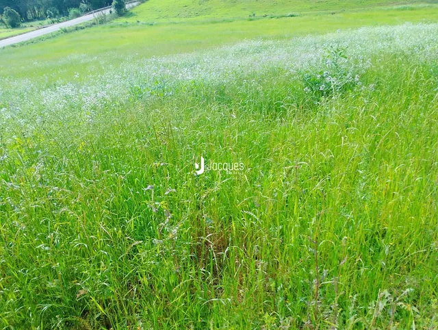 Área rural, foto 5