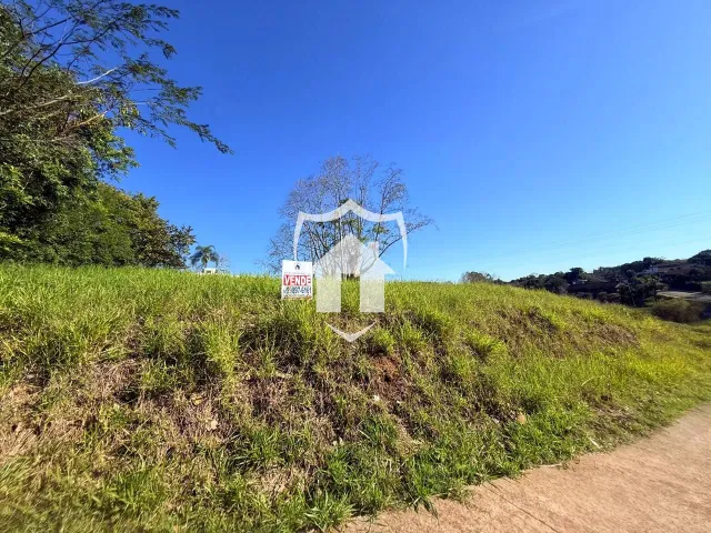 Terreno, foto 3