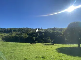 Paisagem de campo verde com vegetação ao fundo sob um céu azul.