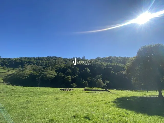 Paisagem de campo verde com vegetação ao fundo sob um céu azul.