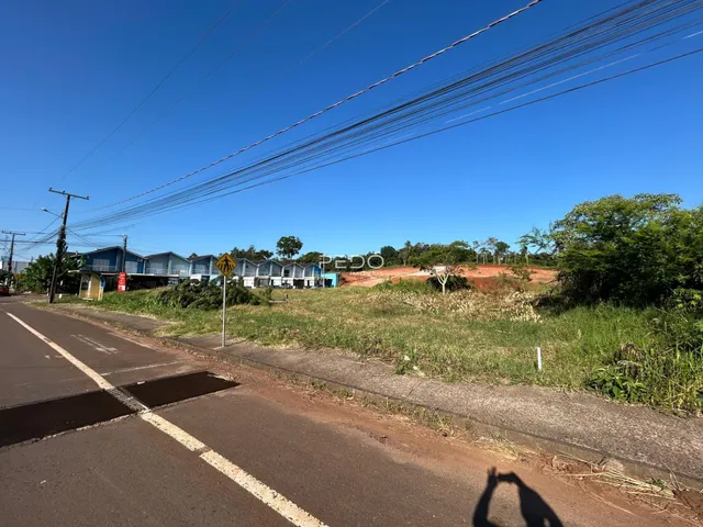 Vista da rua com casas e vegetação ao fundo.