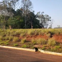 Vista externa de vegetação seca ao longo de uma estrada em Lajeado, Brasil.