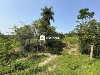 Vista externa de uma área verde com vegetação densa e caminho de terra.