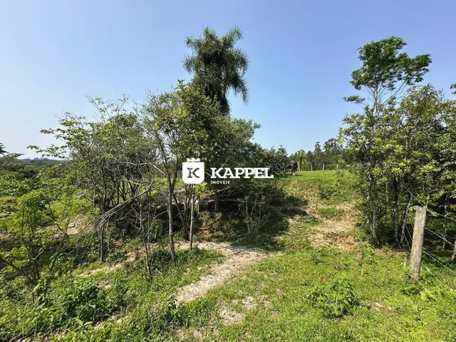 Vista externa de uma área verde com vegetação densa e caminho de terra.