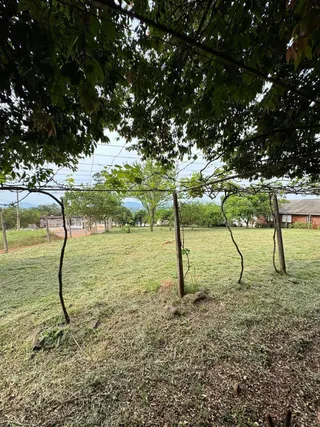 Área rural com 2 dormitórios, foto 3