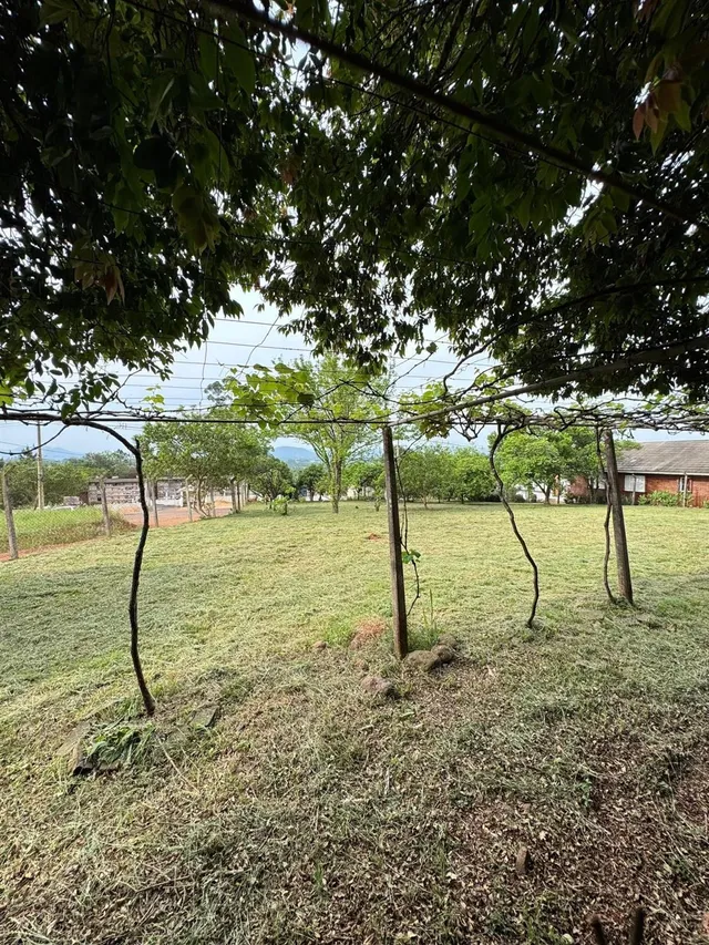 Área rural com 2 dormitórios, foto 3