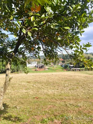Terreno, foto 2