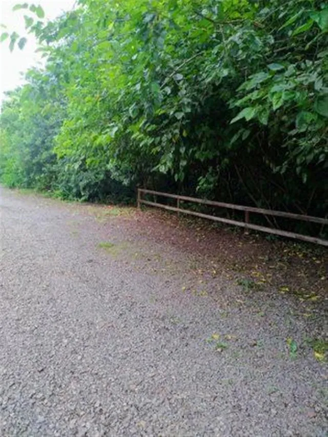 Área rural, foto 3