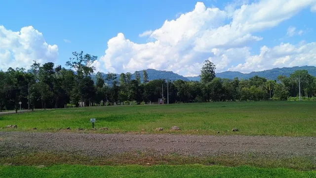 Terreno