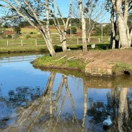 Área rural, foto 21