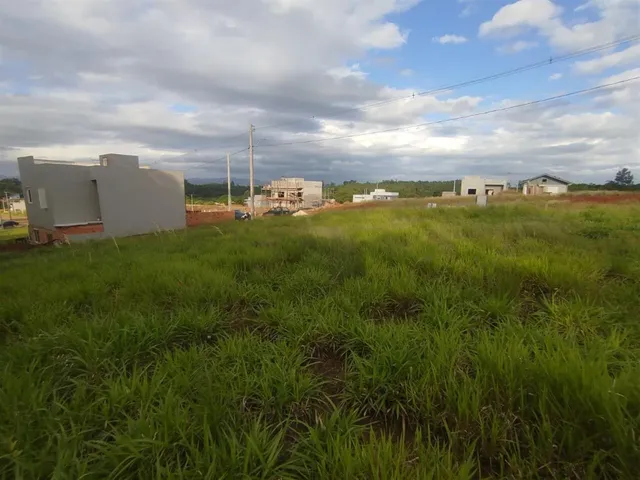 Terreno, foto 3