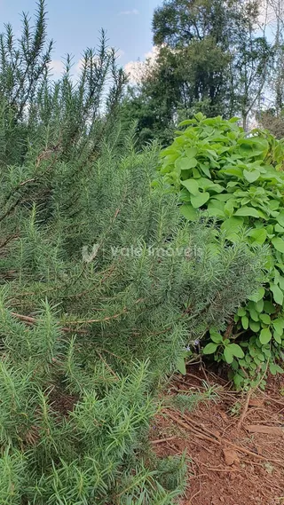 Área rural com 3 dormitórios, foto 30