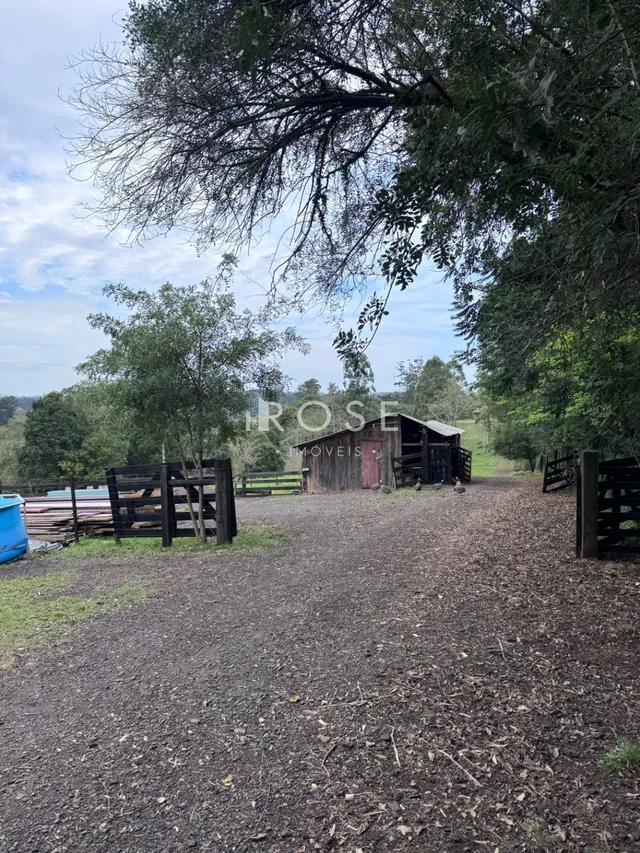 Área rural com 1 dormitório, foto 3